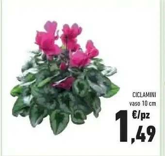 Ciclamini