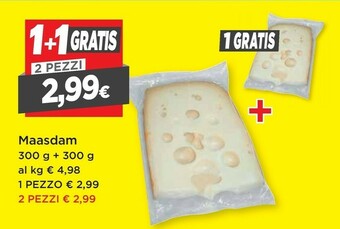 DPiù Maasdam offerta
