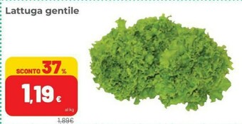 Coop Lattuga Gentile offerta