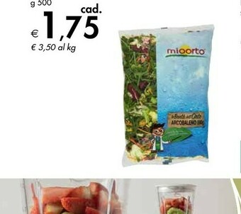 Mioorto Insalata Arcobaleno