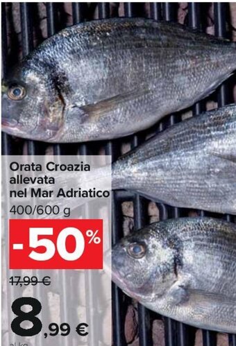 Carrefour Orata Croazia allevata nel Mar Adriatico 400/600 g offerta