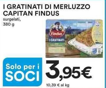 Ipercoop I GRATINATI DI MERLUZZO CAPITAN FINDUS surgelati, 380 g offerta
