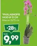 Coop Crik crok patatine offerta