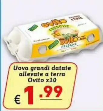 Ipercarni Ovito Uova offerta