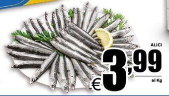 DEM ALICI offerta