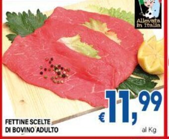 DEM FETTINE SCELTE DI BOVINO ADULTO offerta