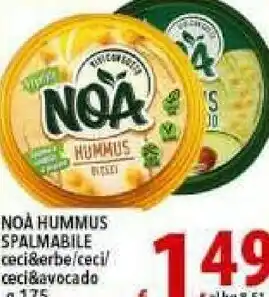 Noa Ceci