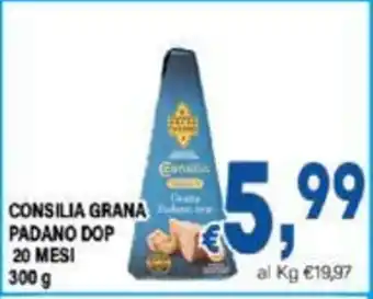 DEM CONSILIA GRANA PADANO DOP 20 MESI 300g offerta