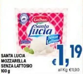 DEM SANTA LUCIA MOZZARELLA SENZA LATTOSIO 100 g offerta
