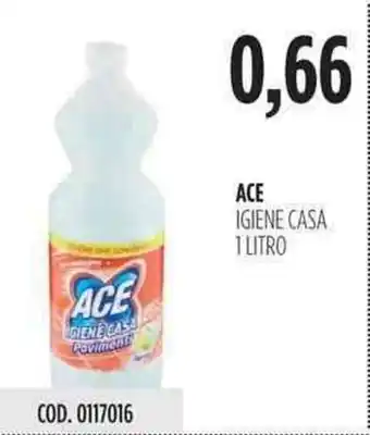 Carico Cash & Carry Ace Igiene Casa 1 litro offerta