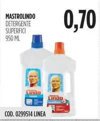Carico Cash & Carry Mastro Lindo Superfici Detergente 950ml offerta