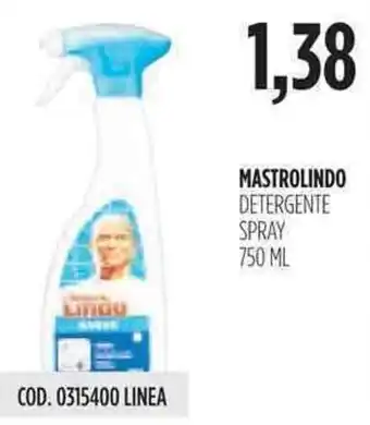 Carico Cash & Carry Mastro Lindo Detergente Spray 750ml offerta