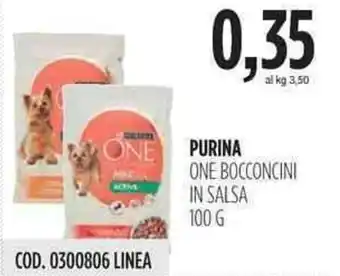Carico Cash & Carry Purina One Bocconcini in Salsa 100g offerta
