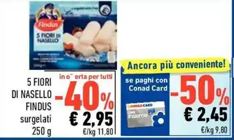 Conad Findus 5 Fiori di Nasello 250g offerta