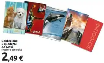 Carrefour Confezione 5 Quaderni A4 Maxi offerta