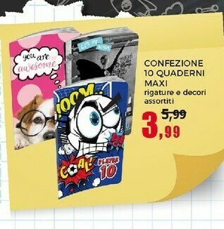 Confezione 10 Quaderni Maxi