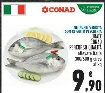 Conad Conad Percorso Qualita Orate offerta