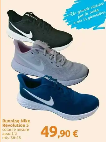 Carrefour Nike Running Revolution 5 offerta