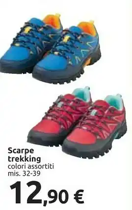 Carrefour Scarpe Trekking offerta