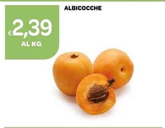 Ekom ALBICOCCHE offerta