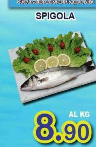 Gros Pesce offerta