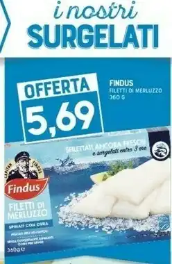 Gran Risparmio Findus Filetti Di Merluzzo offerta