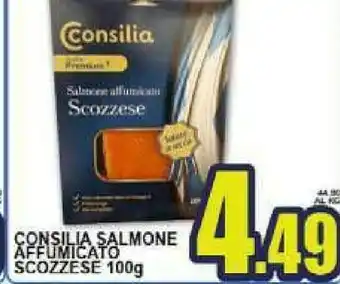 Sacoph Consilia Salmone affumicato offerta