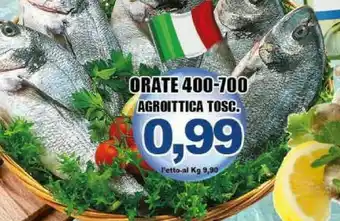 Agroittica Orata