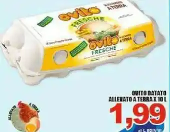 Ovito Uova