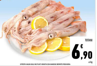 Conad Superstore TOTANI offerta
