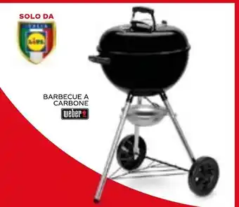 Lidl BARBECUE A CARBONE offerta