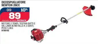 Self DECESPUGLIATORE NEWTON 26CC offerta