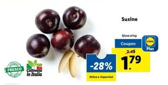 Lidl Susine offerta