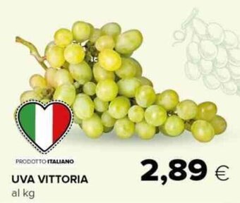Tigre UVA VITTORIA offerta