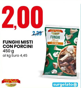 Eurospin FUNGHI MISTI CON PORCINI 450 g offerta
