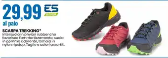Eurospin SCARPA TREKKING* offerta