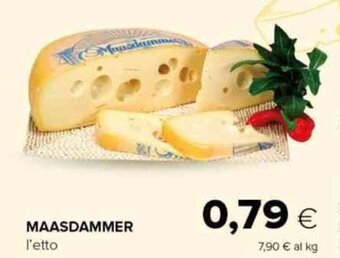 Tigre MAASDAMMER offerta