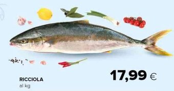 Tigre RICCIOLA offerta