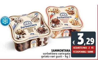 Deco Supermercati SAMMONTANA sorbettiera variegata gelato vari gusti - kg 1 offerta