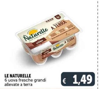 Deco Supermercati LE NATURELLE 6 uova fresche grandi allevate a terra offerta