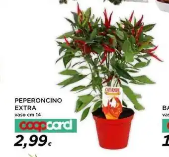 Coop PEPERONCINO EXTRA vaso cm 14 coopcard offerta