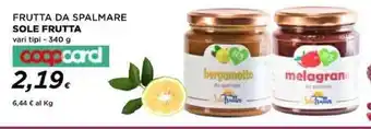 Coop FRUTTA DA SPALMARE SOLE FRUTTA vari tipi - 340 g coopcard offerta