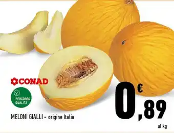 Conad Conad Percorso Qualità Meloni Gialli offerta