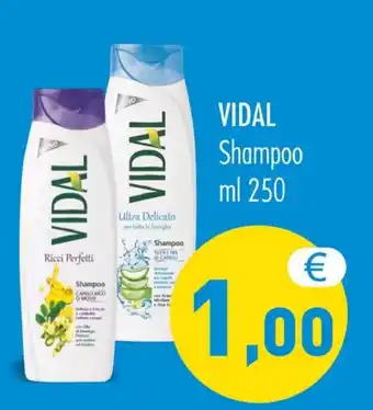 MerSi Supermercati VIDAL Shampoo ml 250 offerta