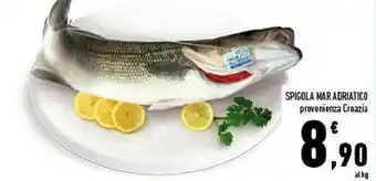 Conad Spigola Mar Adriatico offerta