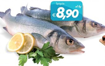 Iper Super Conveniente Spigole offerta