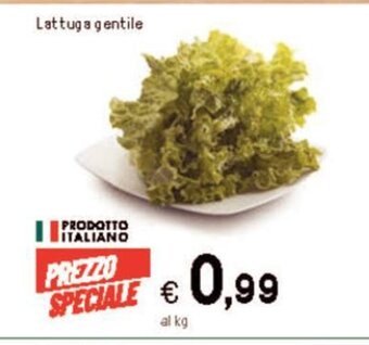 Iper La Grande Lattuga gentile offerta