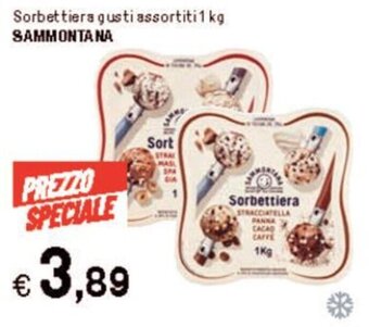 Iper La Grande Sorbettiera gusti assortiti 1 kg SAMMONTANA offerta