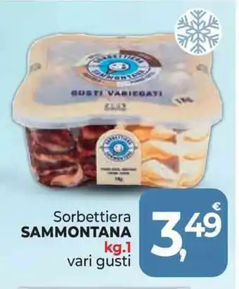 Sorbettiera SAMMONTANA kg.1 vari gusti