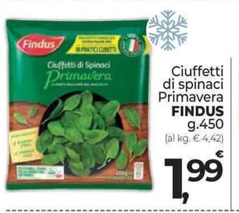 Supermercati Dok Ciuffetti di spinaci Primavera FINDUS g.450 offerta